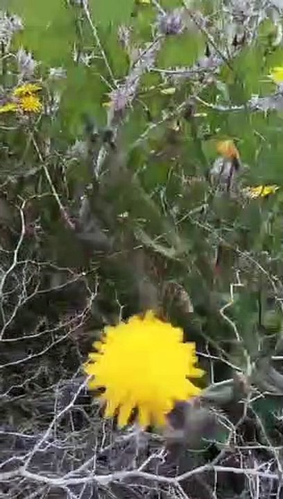 Ait bou Ali tidili massfioua Marrakech Maroc 3