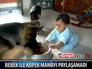 BEBEK İLE KÖPEĞİN MAMA KAPIŞMASI