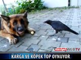 KÖPEK İLE KARGA