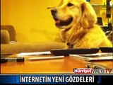 İŞTE İNTERNETİN YENİ GÖZDELERİ