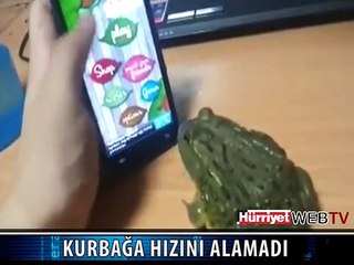 KURBAĞA SAHİBİNE BUNU YAPTI