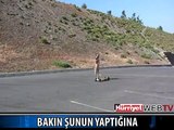 KÖPEĞE DİKKATLİ BAKIN