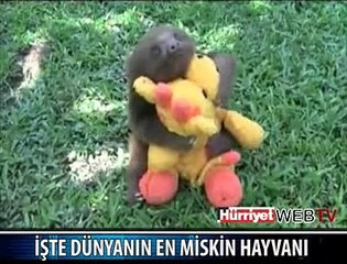 MİSKİN Mİ GÖRMEK İSTİYORSUNUZ
