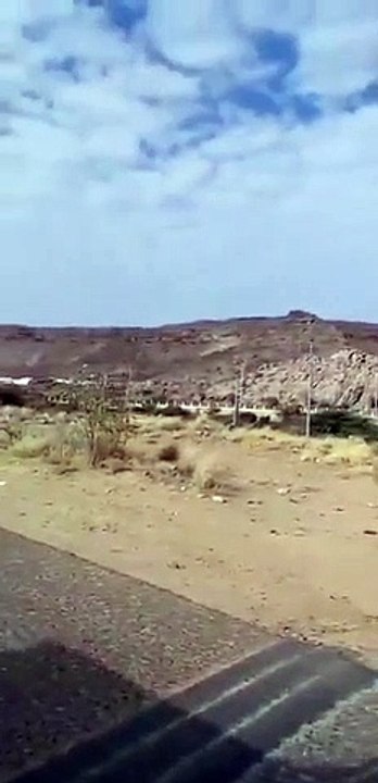 حيوان غريب يثير الذعر في السعودية.. والسلطات تكشف الحقيقة