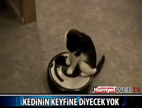 KEDİNİN MOTORLU TAŞIT KEYFİ