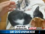 SIRT ÜSTÜ VE ELLER HAVADA UYUDU