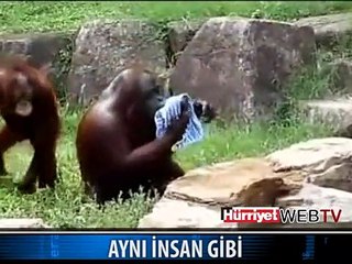 ONUN DA BİR CANI VAR