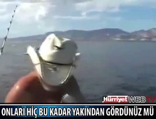 BİR ANDA ORTAYA ÇIKTILAR