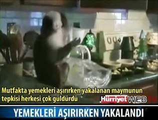 MAYMUNUN YEMEK "OPERASYONU"