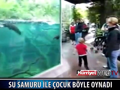 SU SAMURU İLE ÇOCUĞUN MUHTEŞEM OYUNU