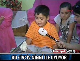 BU CİVCİV NİNNİ İLE UYUYOR