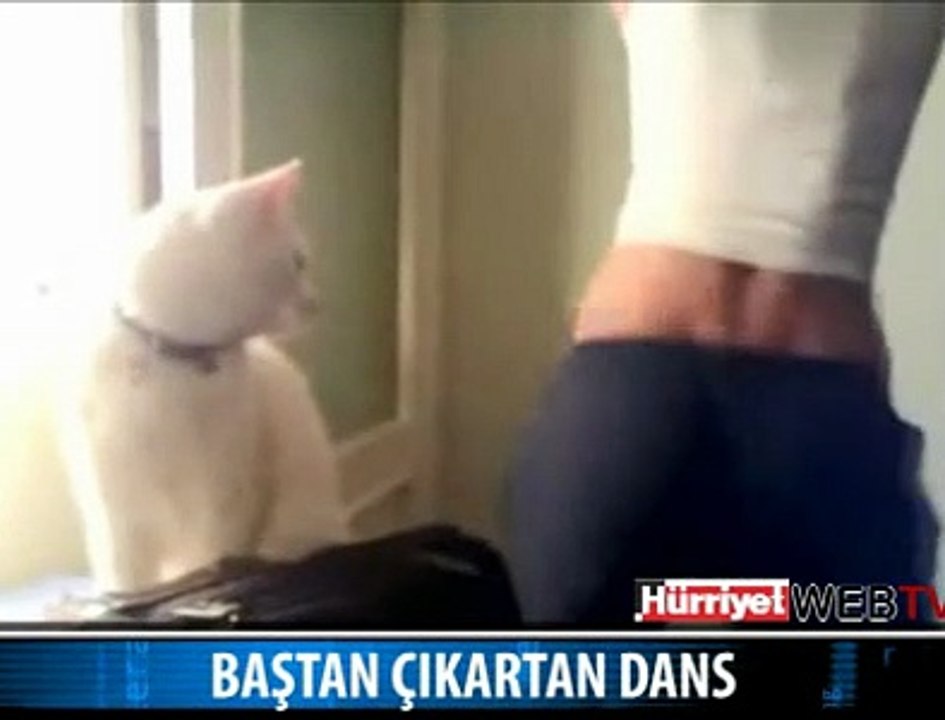 KEDİYİ BİLE BAŞTAN ÇIKARDI