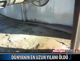 DEV YILAN ÖLÜ BULUNDU