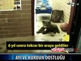 YAVRU AYI VE KURDUN OYUNU