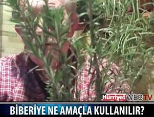 İZAH EDEN ADAM VE BİBERİYE