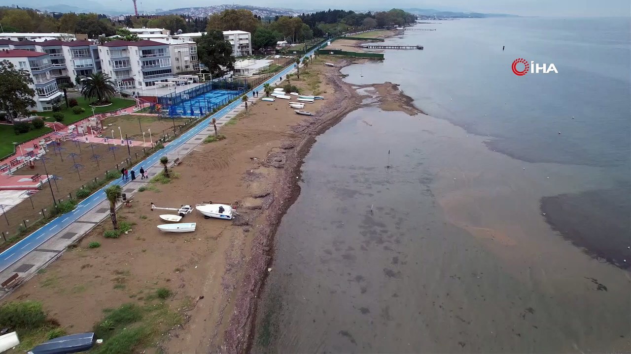 Yalova sahillerinde ilginç görüntü