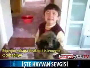 HAYVAN SEVGİSİ BUDUR