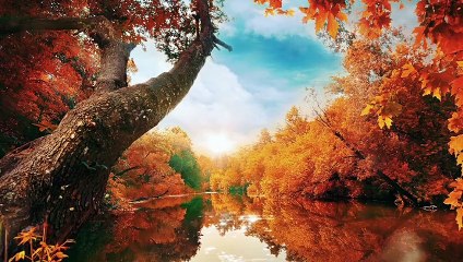 Romantic Mashup 2022 || Best Of Romantic  Bollywood Love Mashup ||