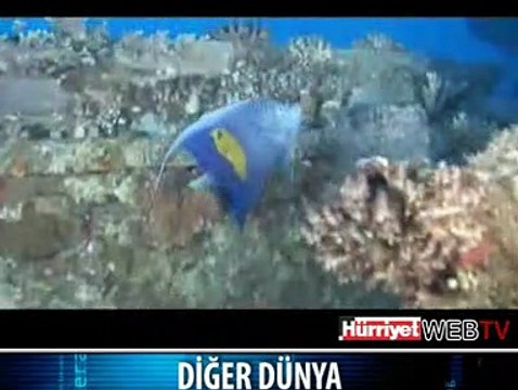 MUAZZAM SUALTI GÖRÜNTÜLERİ