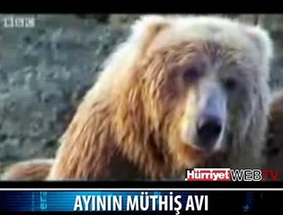 AYININ MÜTHİŞ AVI