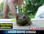 SEVGİYE MUHTAÇ KURBAĞA