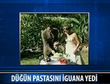 DÜĞÜN PASTASINI KİM YEDİ