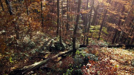 Macro Worlds - Winter is coming