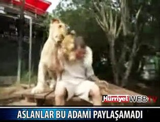 ASLANLARIN KARNI TOK OLURSA