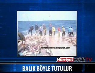 BALIK BÖYLE TUTULUR