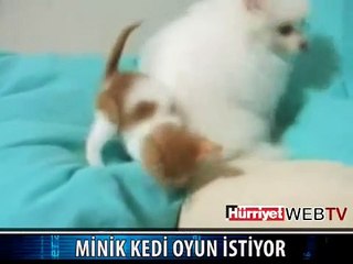 ONLAR ANLAŞABİLİYOR, YA İNSANLAR!!?