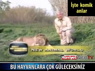 HAYVANLAR ALEMİNDE BUNLAR OLDU