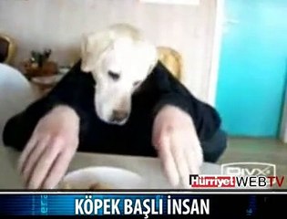 İŞTE KÖPEK BAŞLI ADAM