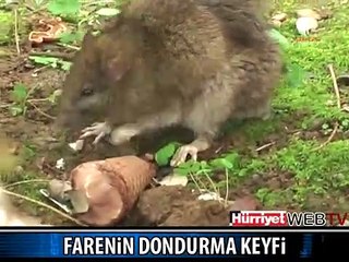 FARENİN DONDURMA KEYFİ