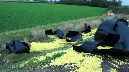 Tır şoförünün manevrası sürüyü telef olmaktan kurtardı