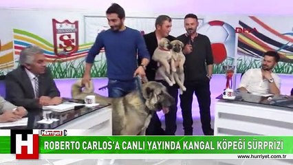 ROBERTO CARLOS'A CANLI YAYINDA SÜRPRİZ