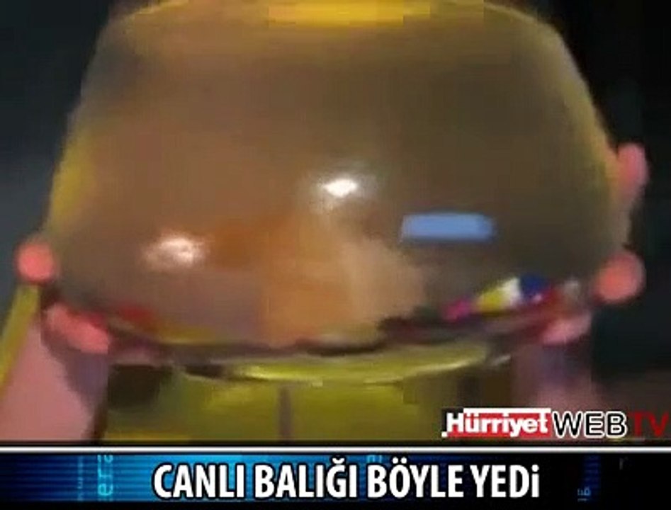 BALIĞI CANLI CANLI YİYEN KIZ