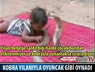 OYUNCAĞI KOBRA YILANI