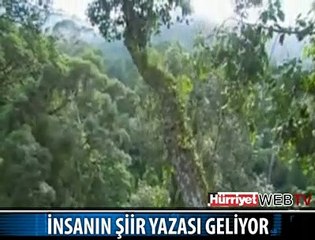 ŞİİR YAZMAK İSTEYENLER İÇİN