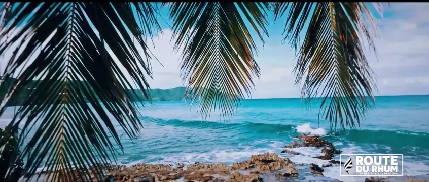 Route du Rhum - Destination Guadeloupe 2022 - Présentation officielle 2022 - L'arrivée en Guadeloupe