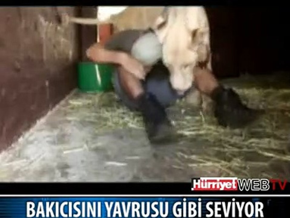 ASLAN VE BAKICISI