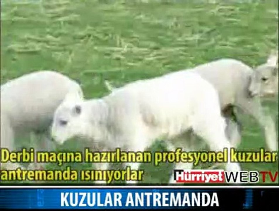 KUZULAR ANTREMANDA