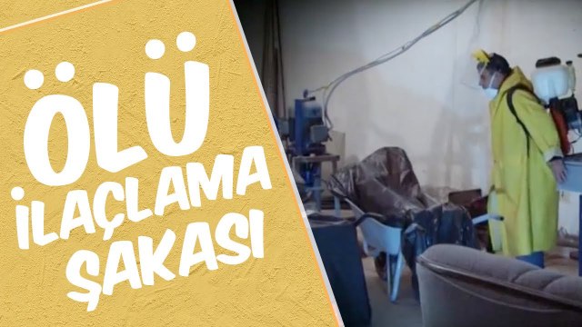 Ölü İlaçlama Şakası ? Mustafa Karadeniz