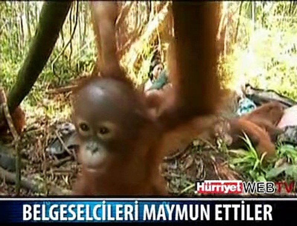 BELGESELCİLERİ MAYMUN ETTİLER