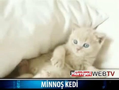 SENİ SEVMEYEN ÖLSÜN