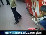 KARİZMASI BÖYLE ÇİZİLDİ