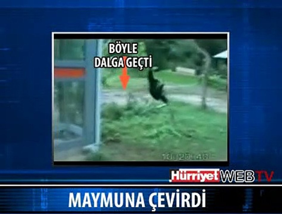 KÖPEĞİ "MAYMUN" ETTİ"