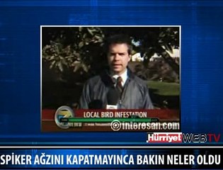 SPİKERİN AĞZINA KUŞ .(!!)