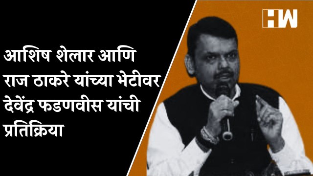 Ashish Shelar आणि Raj Thackeray यांच्या भेटीवर Devendra Fadnavis यांची प्रतिक्रिया| BJP MNS Shivsena