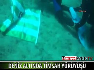 DENİZ ALTINDA TİMSAH YÜRÜYÜŞÜ