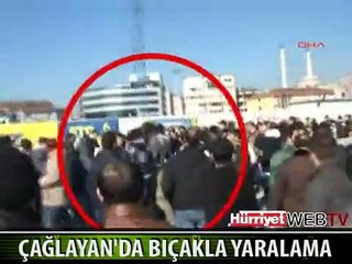 FENERBAHÇELİ TARAFTARLAR ARASINDA KAVGA ÇIKTI